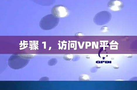 步骤 1,访问VPN平台 步骤 1,访问VPN平台