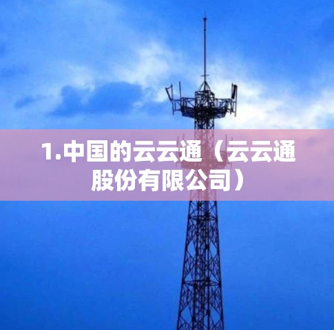 1.中国的云云通(云云通股份有限公司) 1.中国的云云通(云云通股份有限公司)